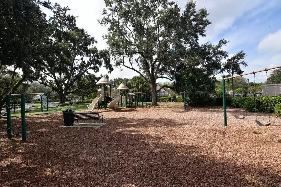 New Playground