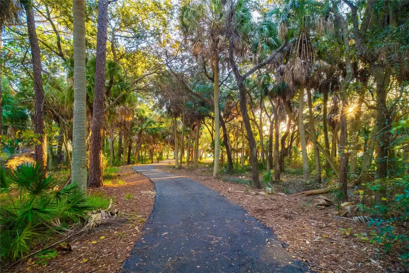 508 PARK BOULEVARD, OLDSMAR, Florida 34677, 3 Bedrooms Bedrooms, ,2 BathroomsBathrooms,Residential,For Sale,PARK,MFRTB8321316