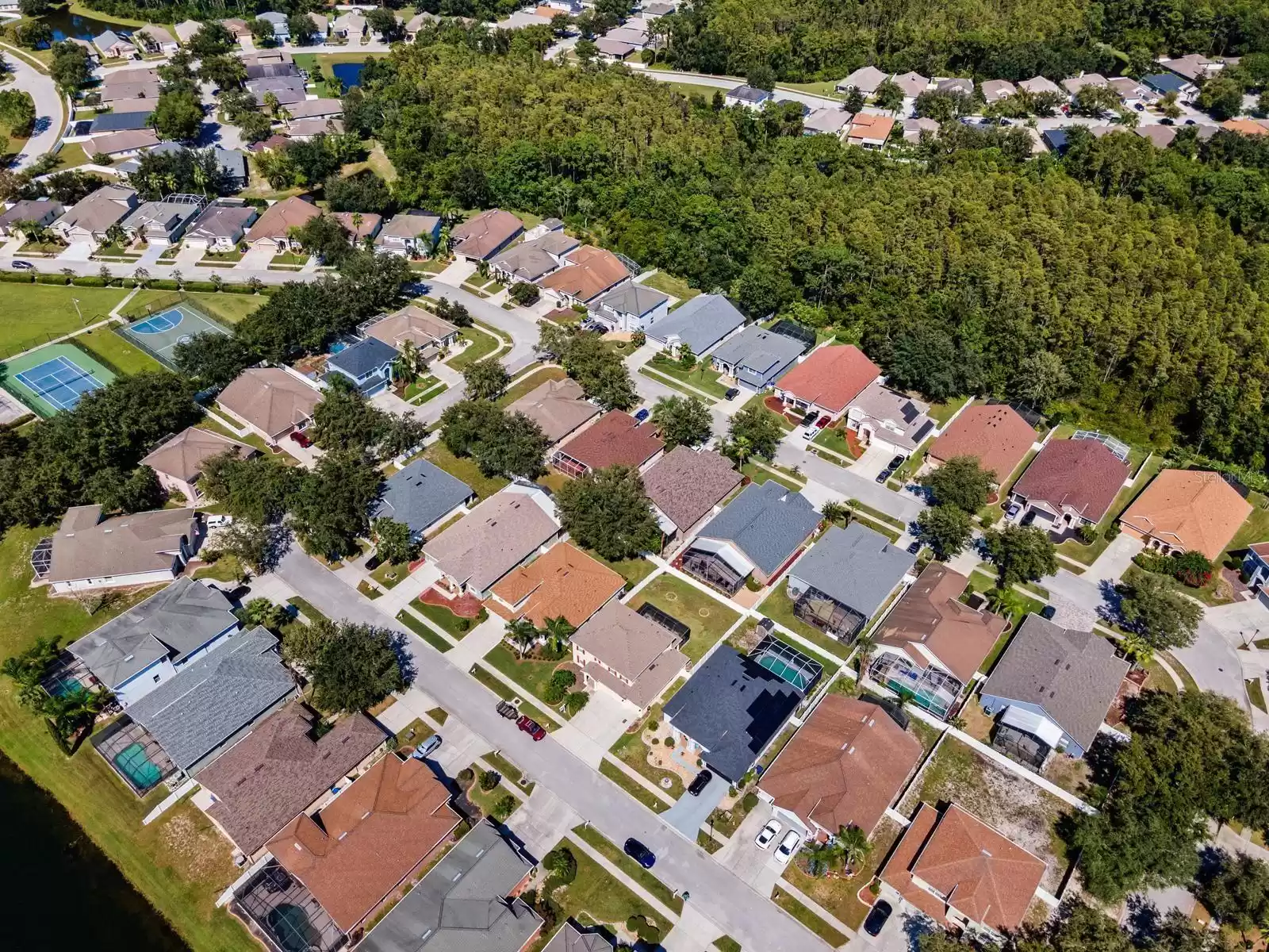 10648 WEEPING ELM BEND, LAND O LAKES, Florida 34638, 5 Bedrooms Bedrooms, ,3 BathroomsBathrooms,Residential Lease,For Rent,WEEPING ELM BEND,MFRTB8323905