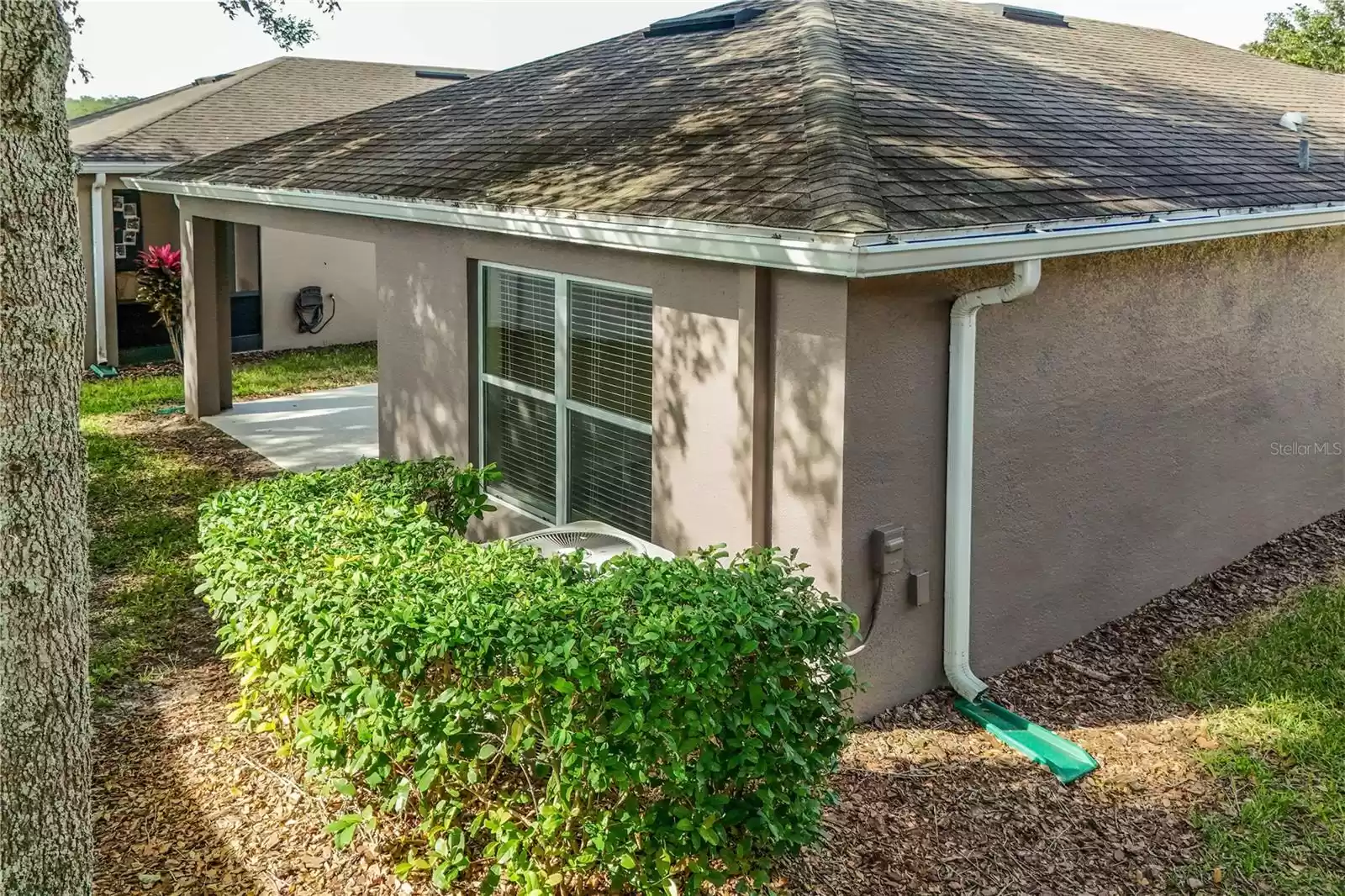 30529 LIPIZZAN TERRACE, MOUNT DORA, Florida 32757, 3 Bedrooms Bedrooms, ,2 BathroomsBathrooms,Residential,For Sale,LIPIZZAN,MFRG5089607