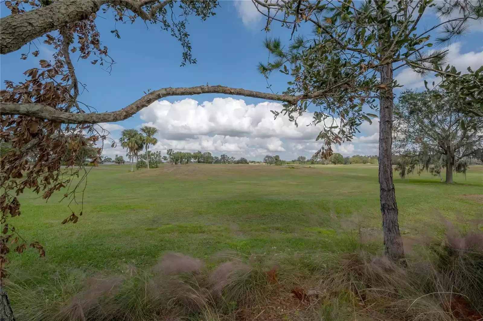 1802 PACIFIC DUNES DRIVE, SUN CITY CENTER, Florida 33573, 2 Bedrooms Bedrooms, ,2 BathroomsBathrooms,Residential,For Sale,PACIFIC DUNES,MFRTB8322943