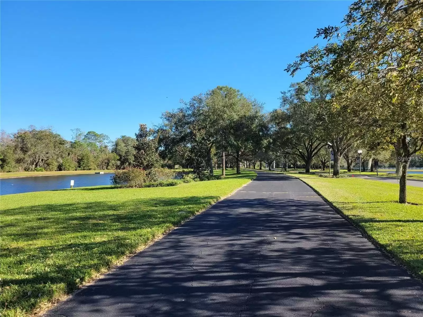 amazing walking trails