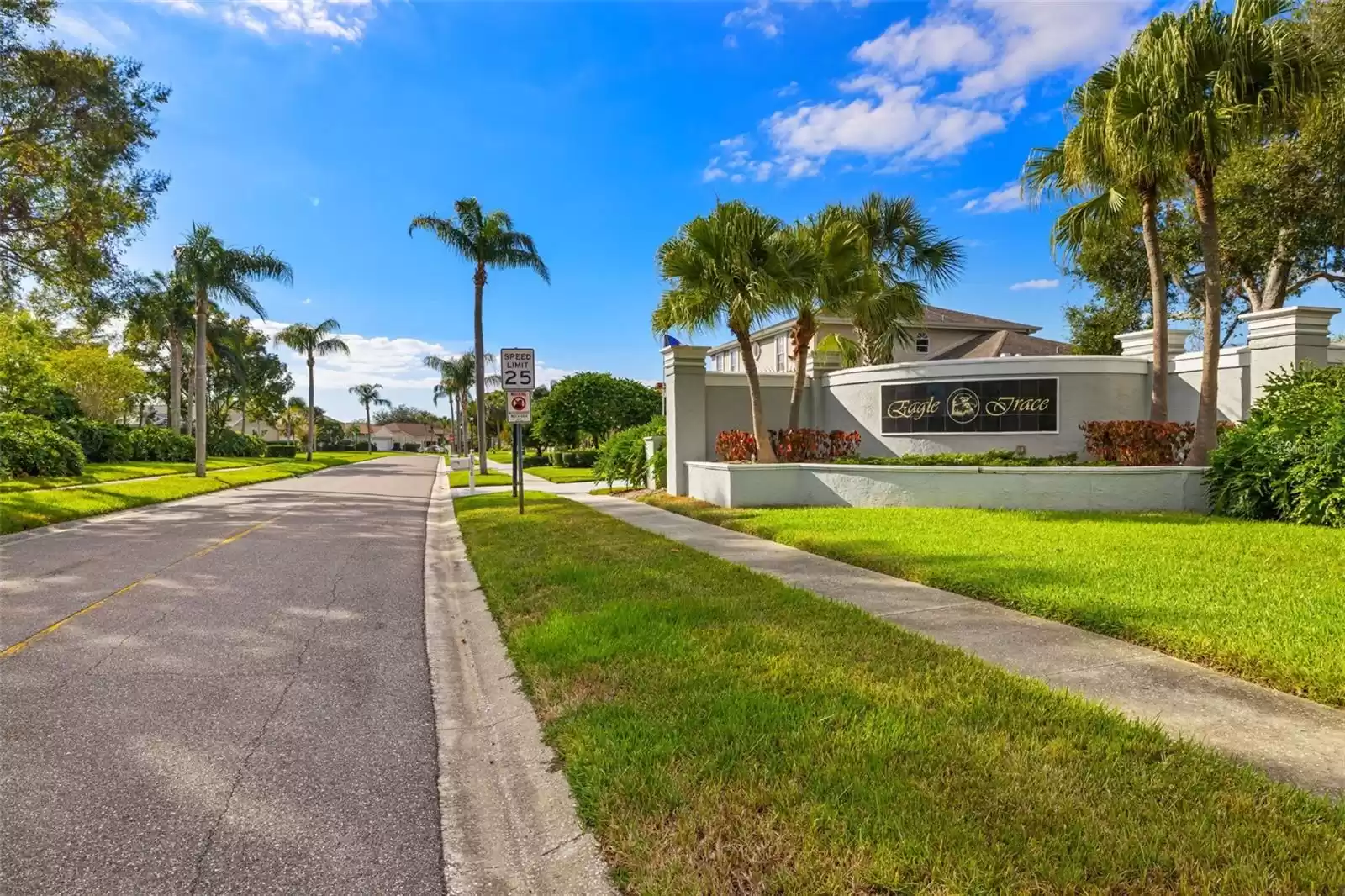 1840 EAGLE TRACE BOULEVARD, PALM HARBOR, Florida 34685, 4 Bedrooms Bedrooms, ,3 BathroomsBathrooms,Residential,For Sale,EAGLE TRACE,MFRTB8322070