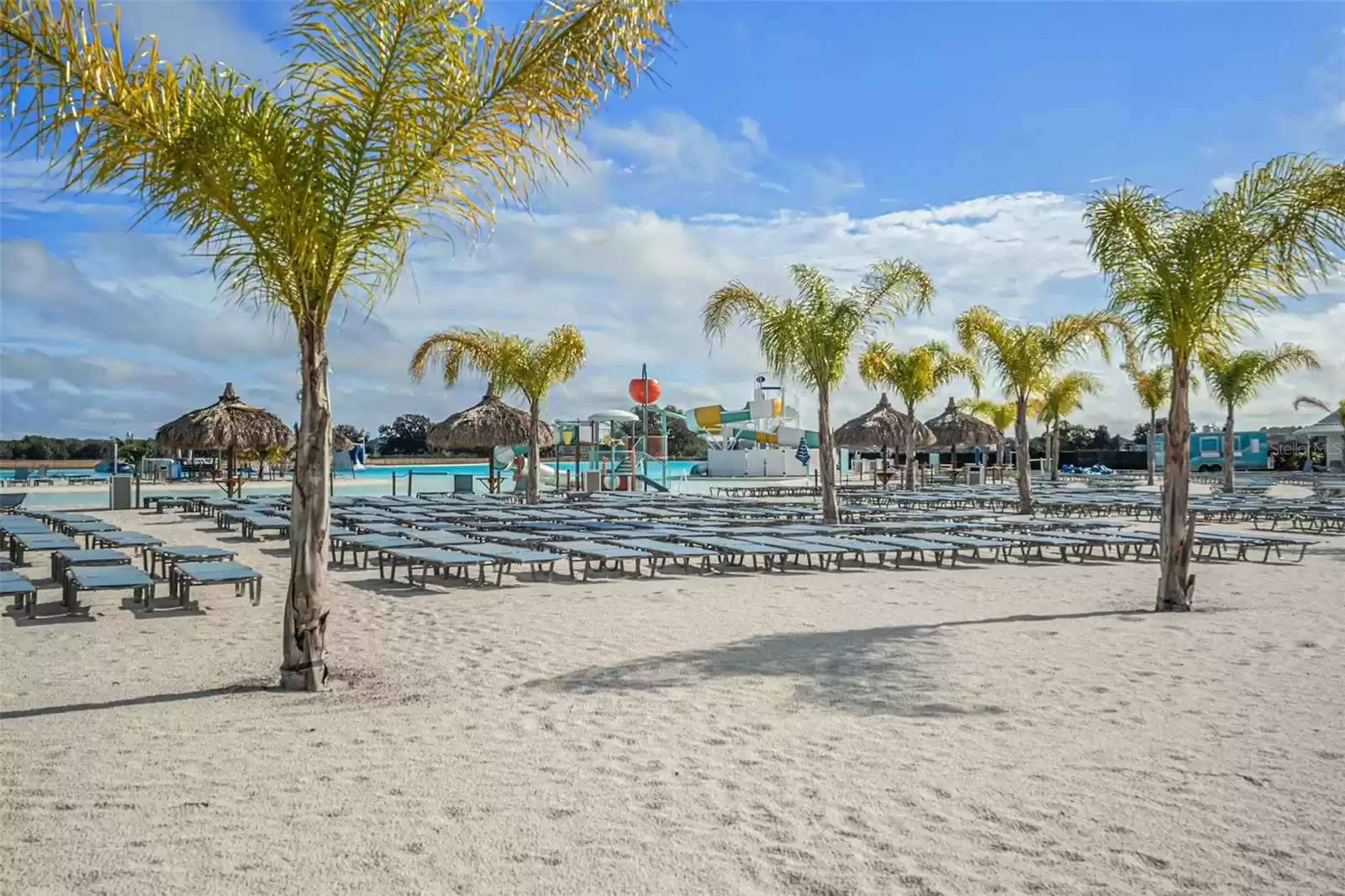 sandy beach area with tropical palms