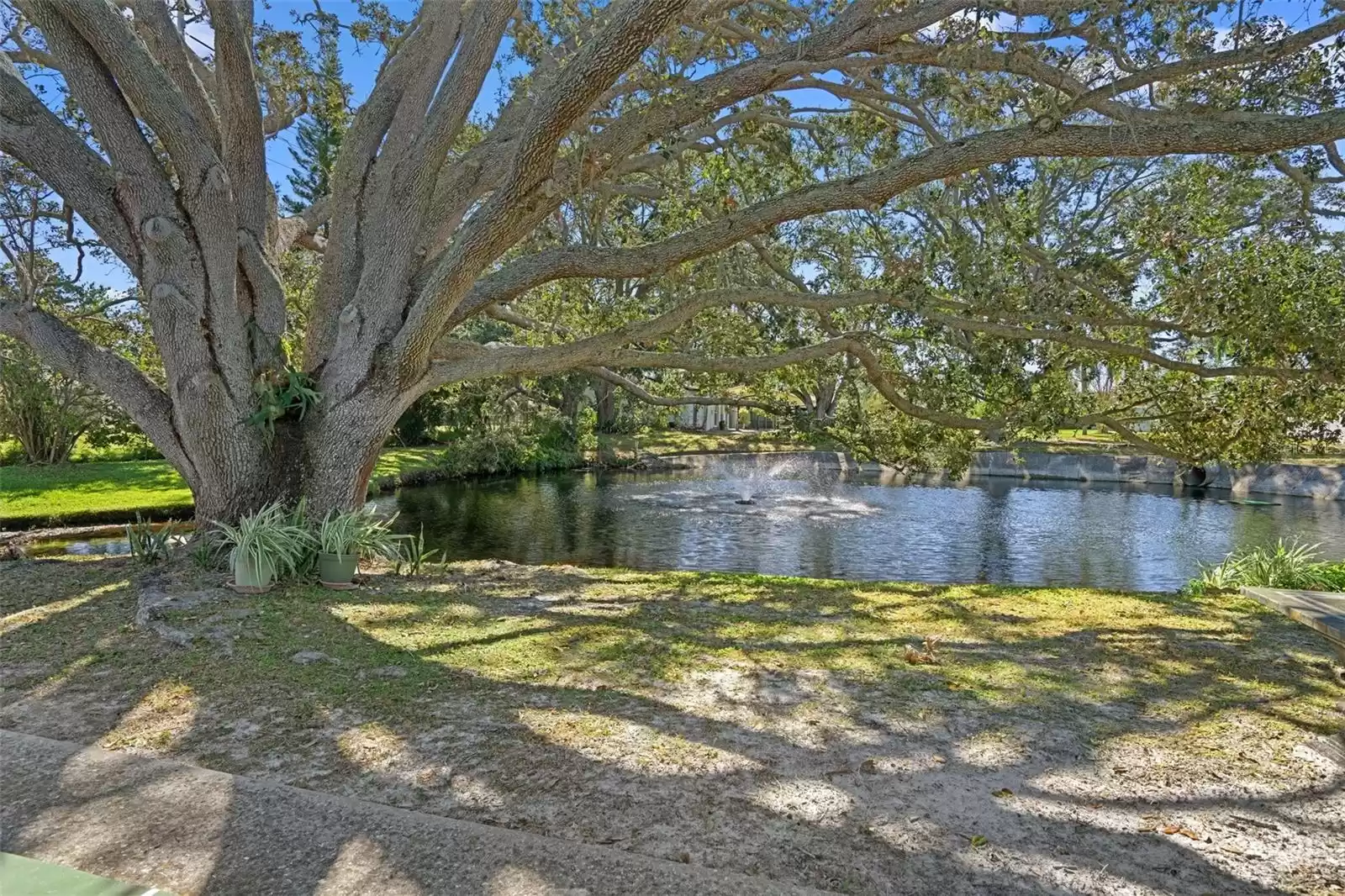 1002 IBIS COURT, DUNEDIN, Florida 34698, 1 Bedroom Bedrooms, ,1 BathroomBathrooms,Residential,For Sale,IBIS,MFRTB8323970