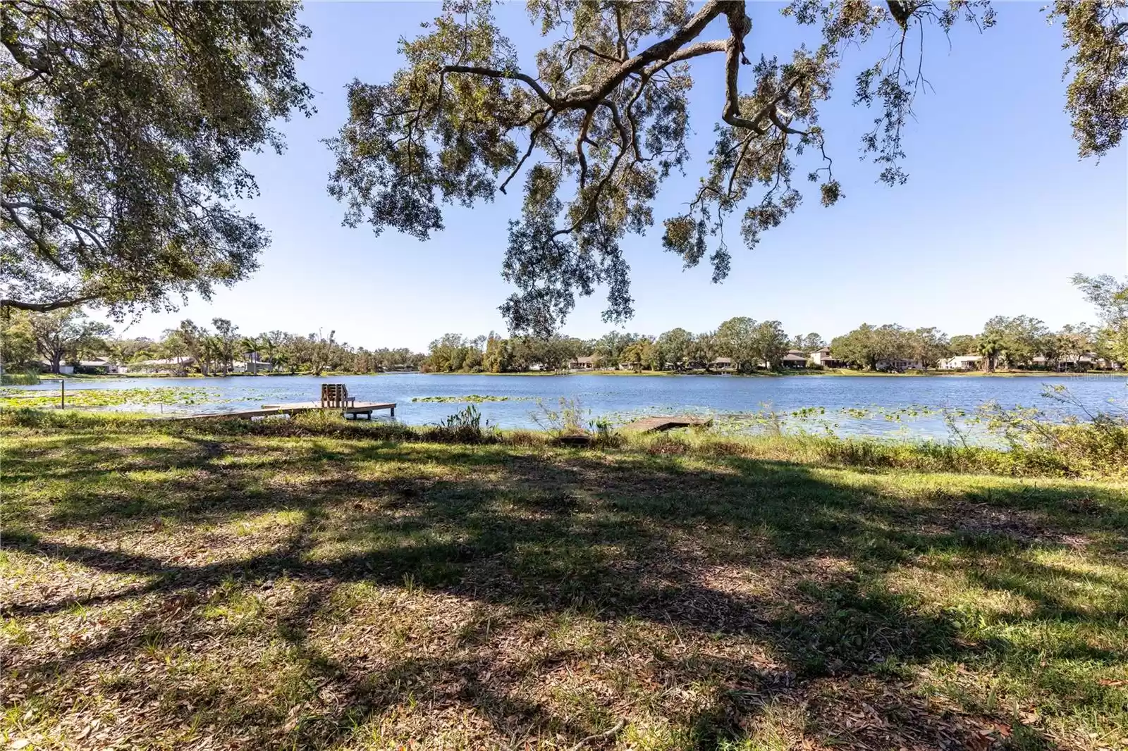 11708 FOREST HILLS DRIVE, TAMPA, Florida 33612, 2 Bedrooms Bedrooms, ,1 BathroomBathrooms,Residential,For Sale,FOREST HILLS,MFRTB8324149