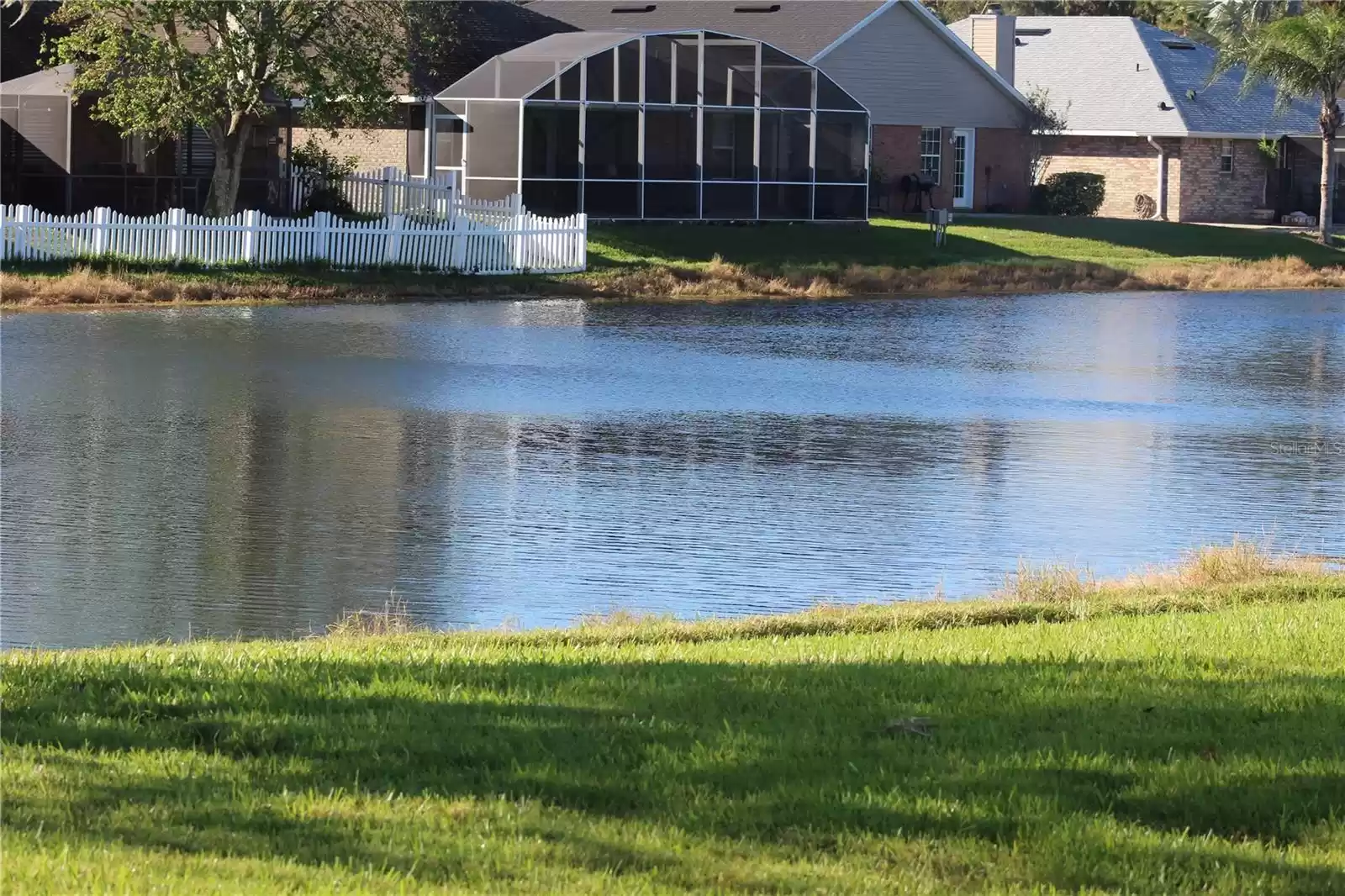 Rear pond view