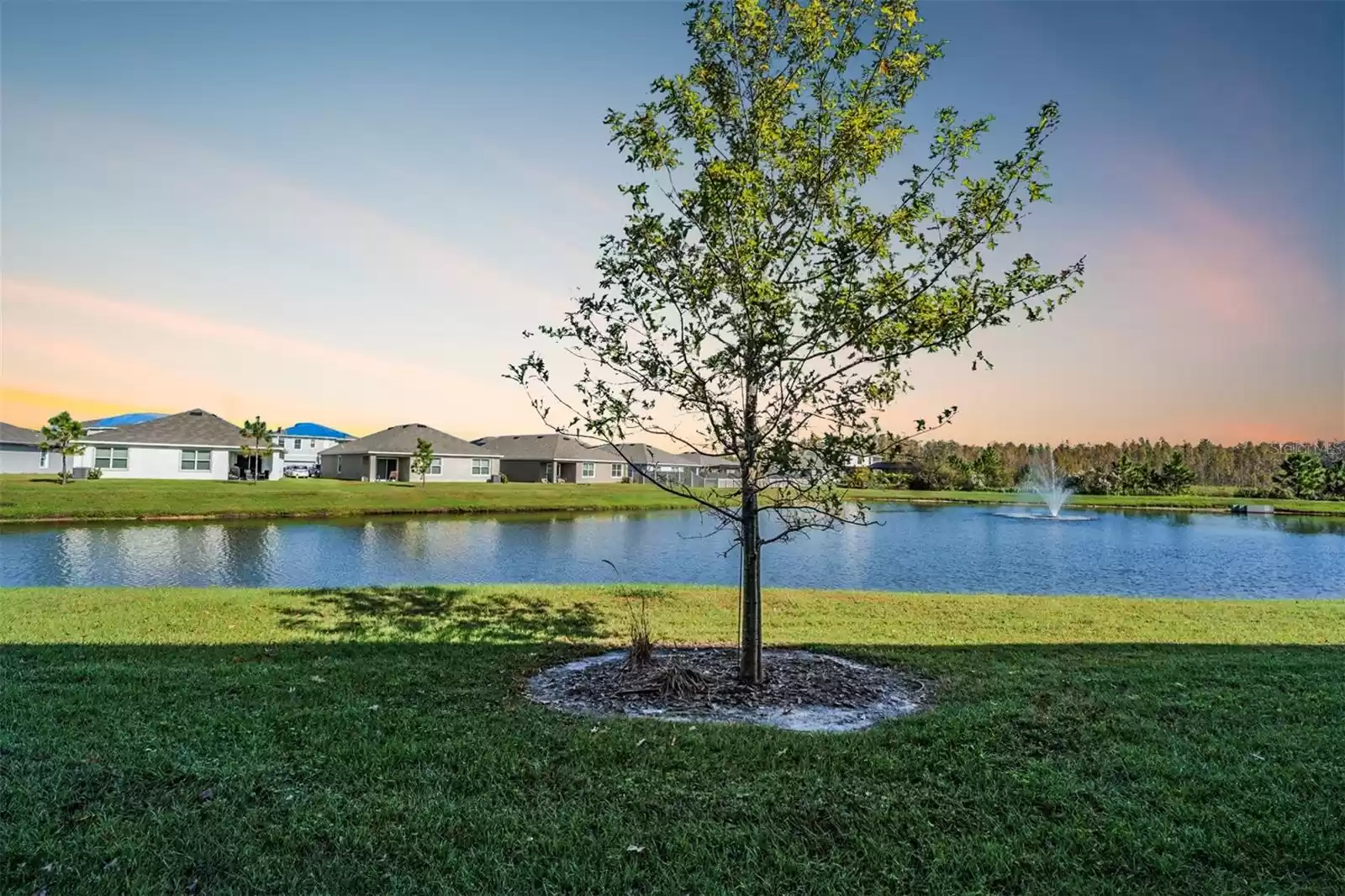 32013 BLUE PASSING LOOP, WESLEY CHAPEL, Florida 33545, 3 Bedrooms Bedrooms, ,2 BathroomsBathrooms,Residential,For Sale,BLUE PASSING,MFRTB8321530