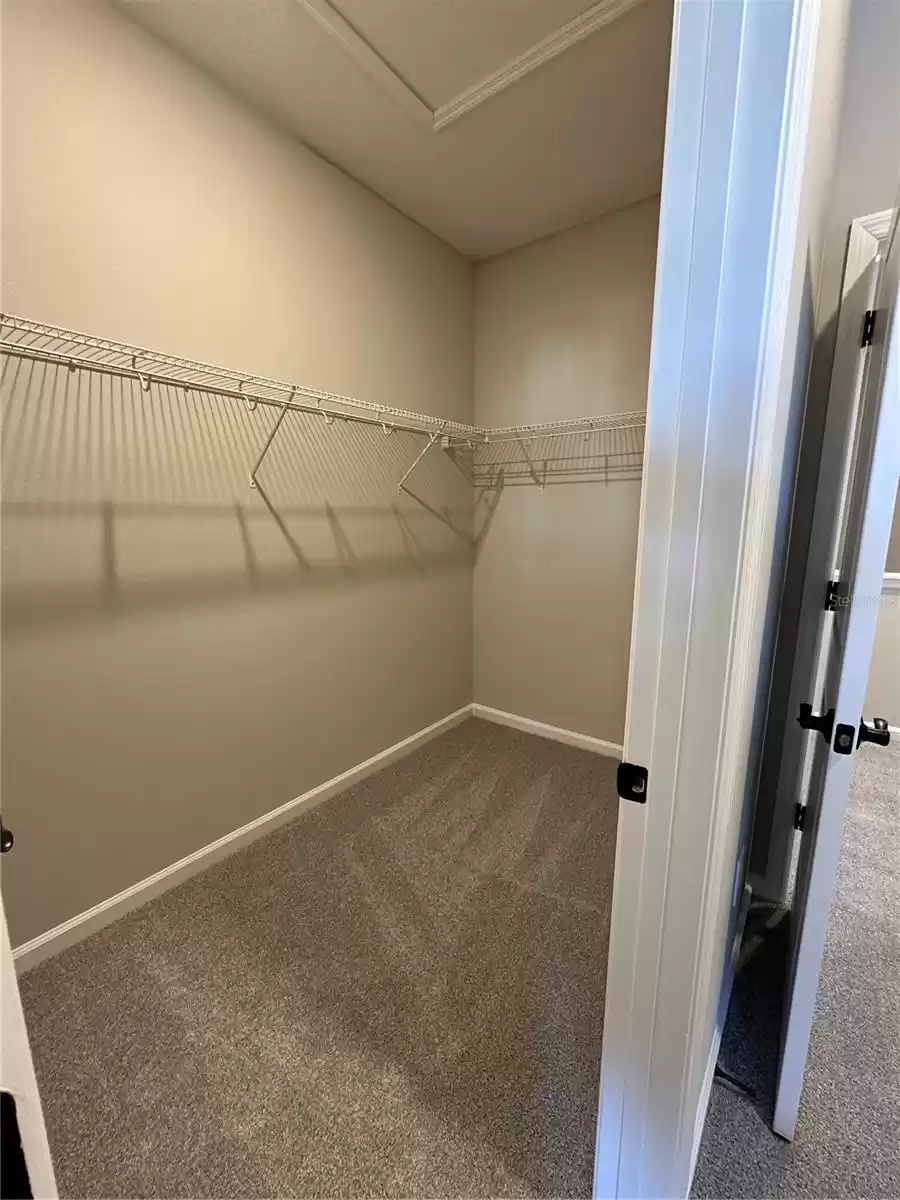 WALKING CLOSET