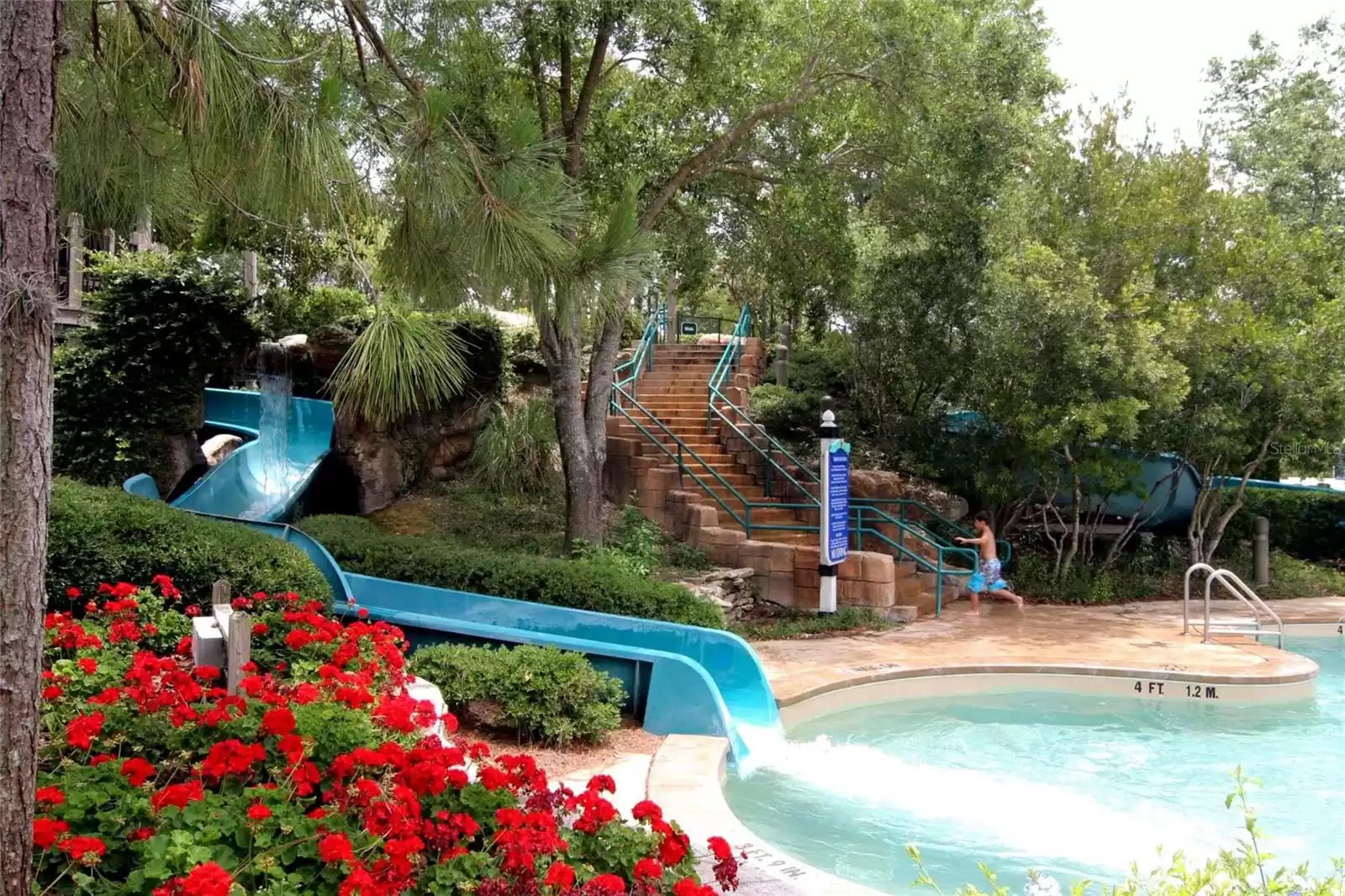 Water slides in the Innisbrook Resort Loch Ness Pool.