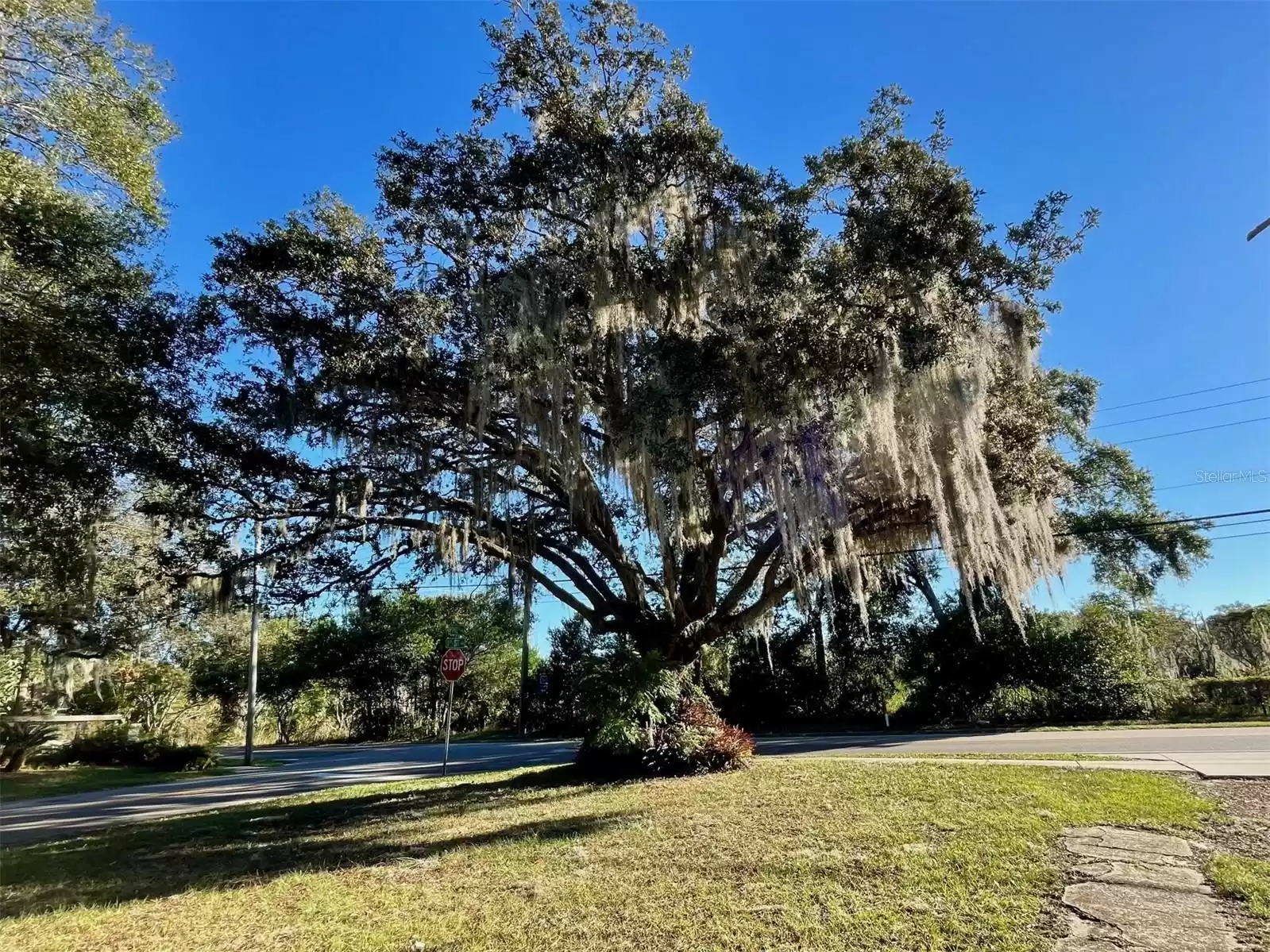 220 1 STREET, GENEVA, Florida 32732, 4 Bedrooms Bedrooms, ,3 BathroomsBathrooms,Residential,For Sale,1,MFRO6259860