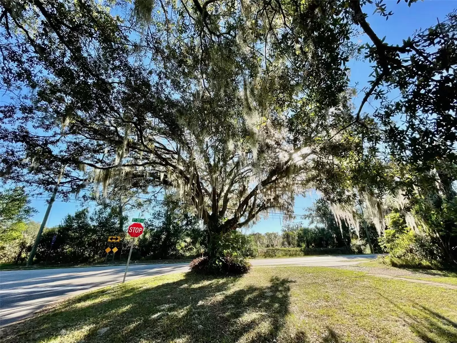 220 1 STREET, GENEVA, Florida 32732, 4 Bedrooms Bedrooms, ,3 BathroomsBathrooms,Residential,For Sale,1,MFRO6259860