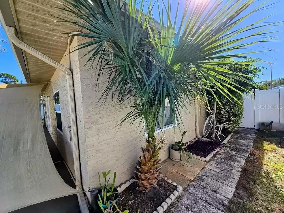 3276 BUCKHORN DRIVE, CLEARWATER, Florida 33761, 2 Bedrooms Bedrooms, ,2 BathroomsBathrooms,Residential,For Sale,BUCKHORN,MFRTB8325051