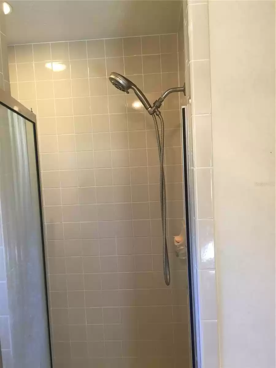 Primary Bathroom Shower