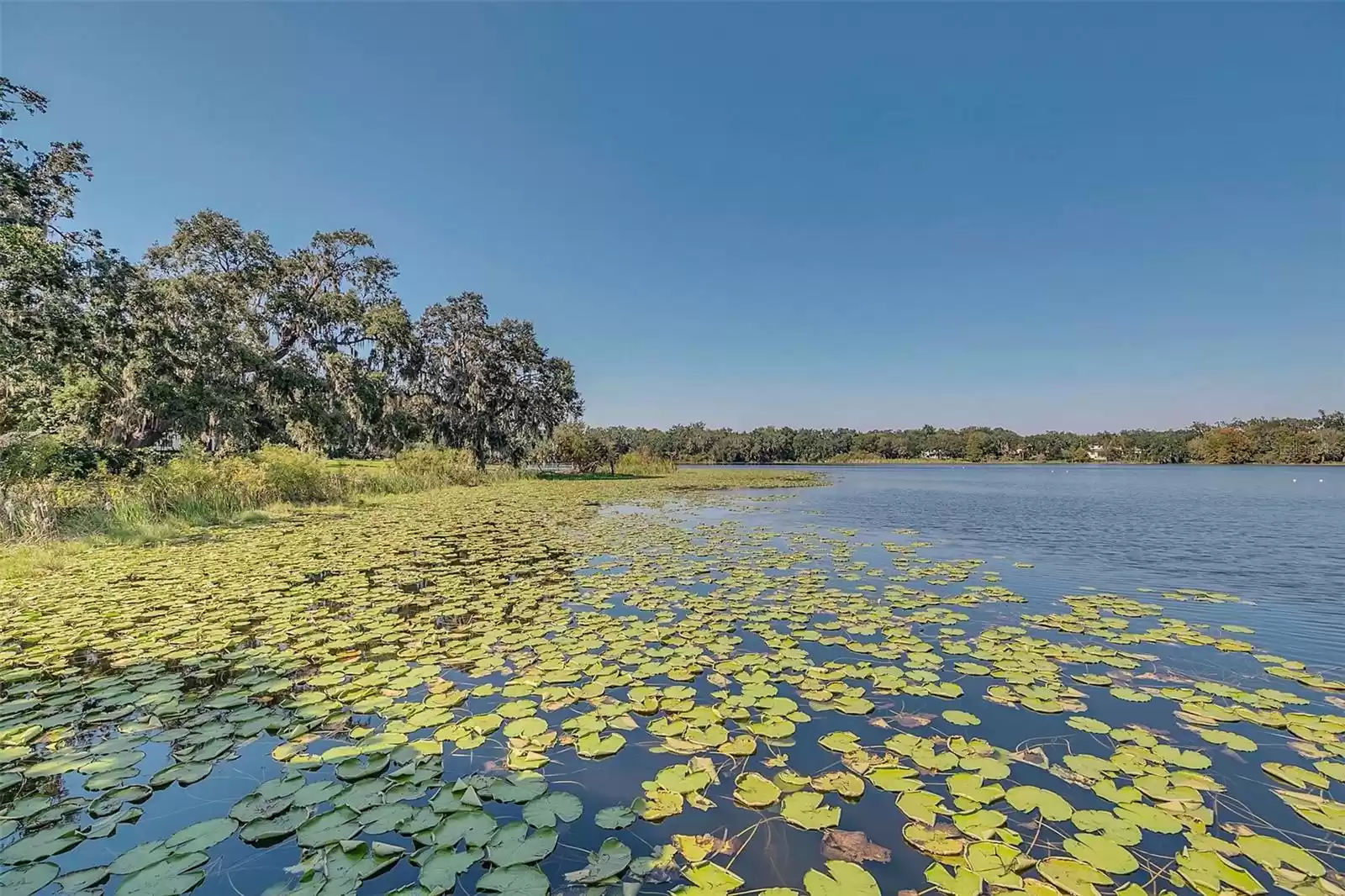 1120 PRESERVE POINT DRIVE, WINTER PARK, Florida 32789, 7 Bedrooms Bedrooms, ,9 BathroomsBathrooms,Residential,For Sale,PRESERVE POINT,0,MFRO6269585