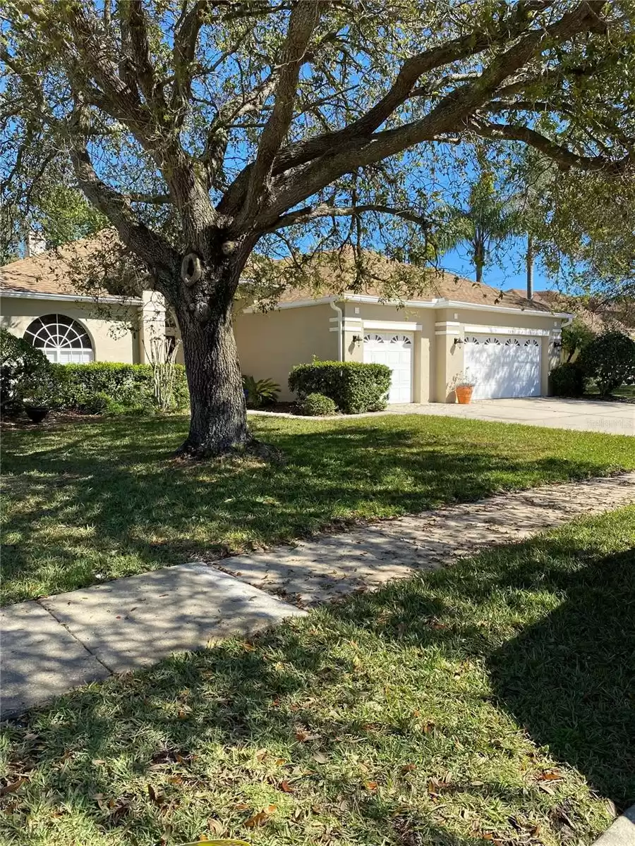 149 FIG TREE RUN RUN, LONGWOOD, Florida 32750, 4 Bedrooms Bedrooms, ,3 BathroomsBathrooms,Residential Lease,For Rent,FIG TREE RUN,0,MFRO6275805