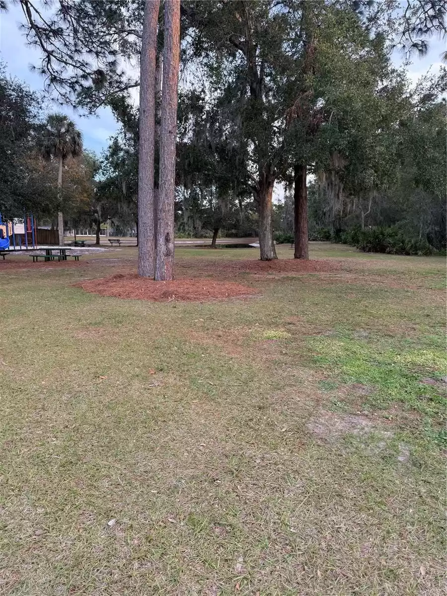 149 FIG TREE RUN RUN, LONGWOOD, Florida 32750, 4 Bedrooms Bedrooms, ,3 BathroomsBathrooms,Residential Lease,For Rent,FIG TREE RUN,0,MFRO6275805