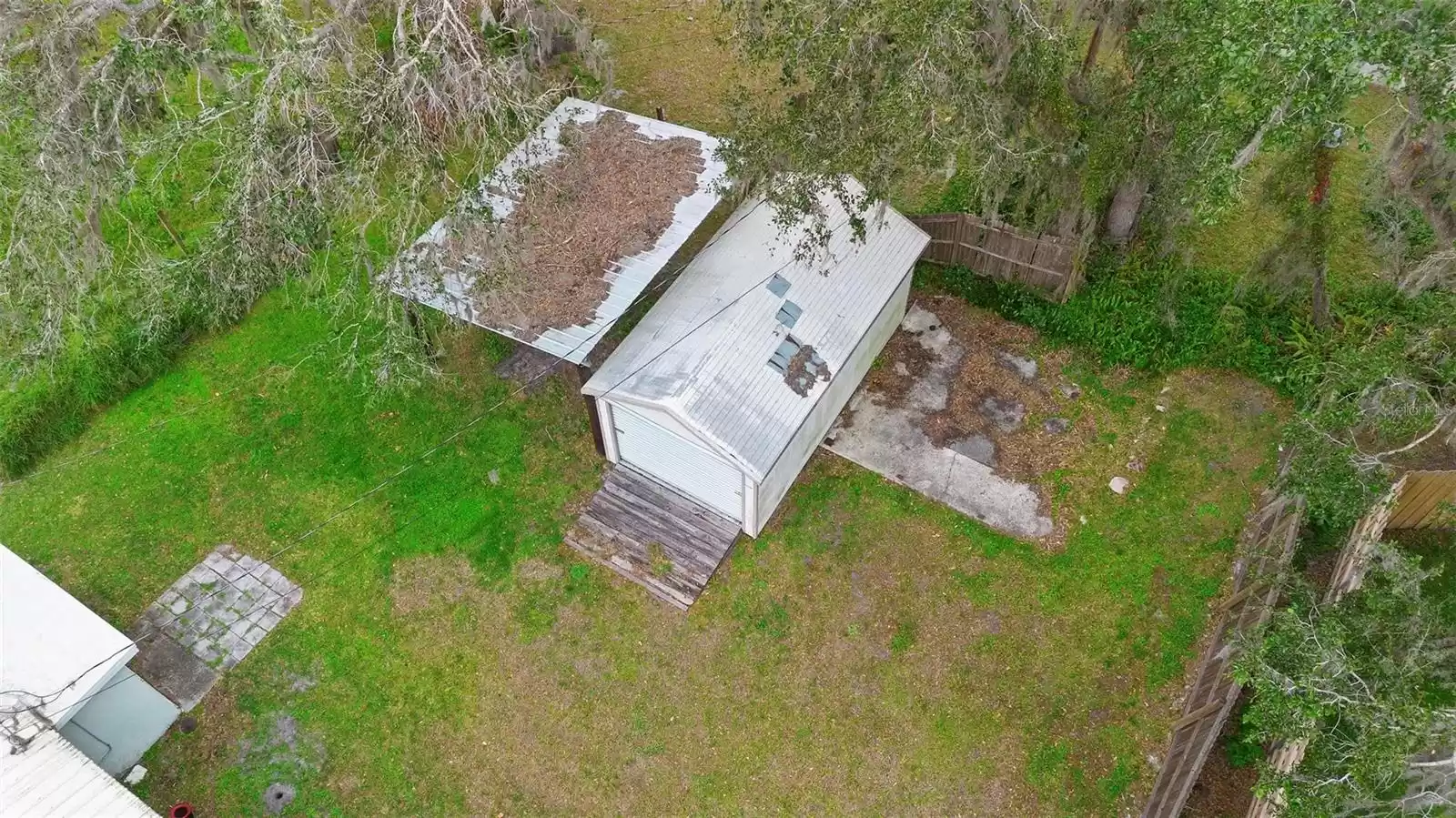 Back yard